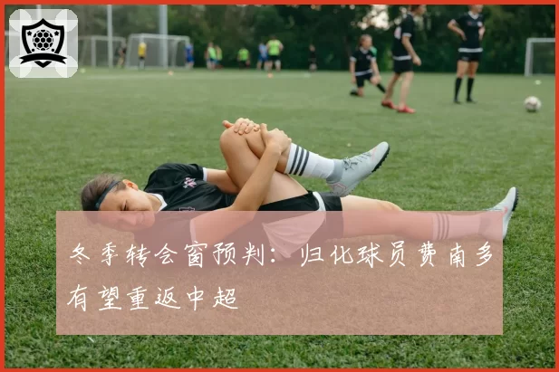 冬季转会窗预判：归化球员费南多有望重返中超